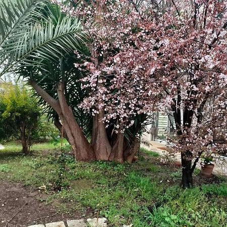 Giardino A Mare Apartment บารี ภายนอก รูปภาพ