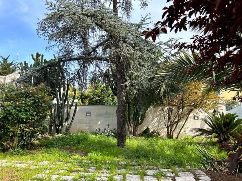 Giardino A Mare Apartment บารี ภายนอก รูปภาพ