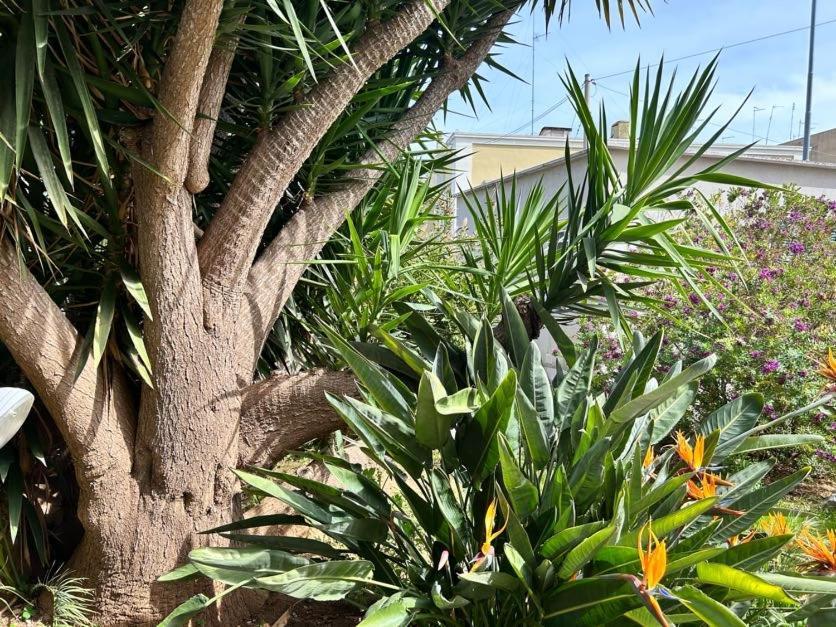 Giardino A Mare Apartment บารี ภายนอก รูปภาพ