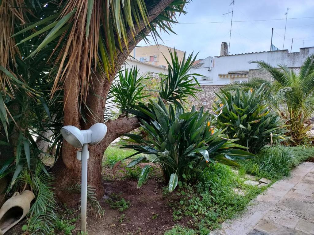 Giardino A Mare Apartment บารี ภายนอก รูปภาพ